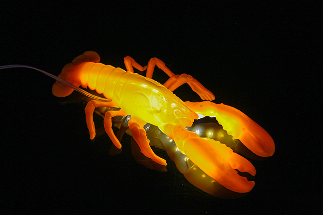 led龙虾灯